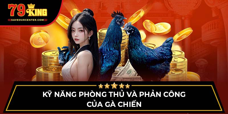 Kỹ năng phòng thủ và phản công của gà chiến