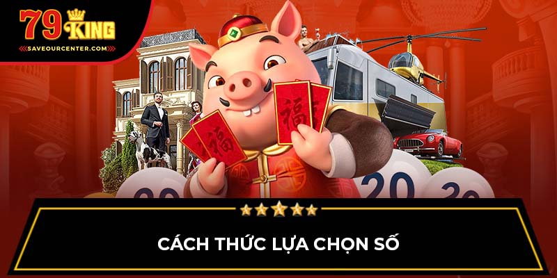 Cách thức lựa chọn số